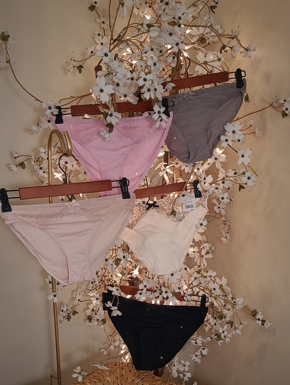 NWT Lace Hipster Panty Set of 5